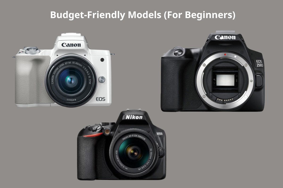 Budget-Friendly Models