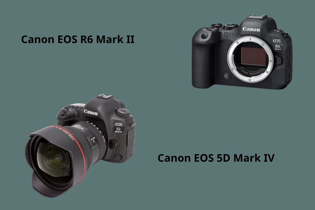 Canon EOS R6 Mark II