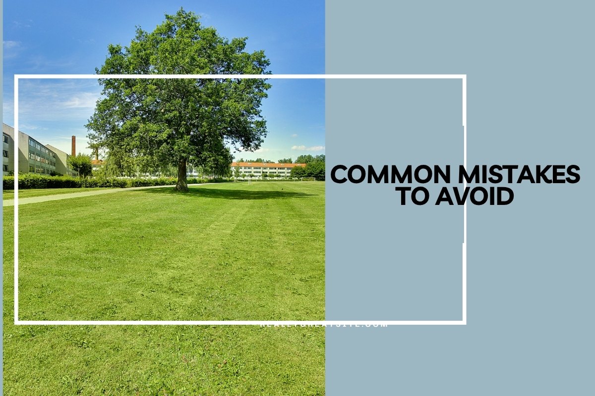 Common Mistakes to Avoid