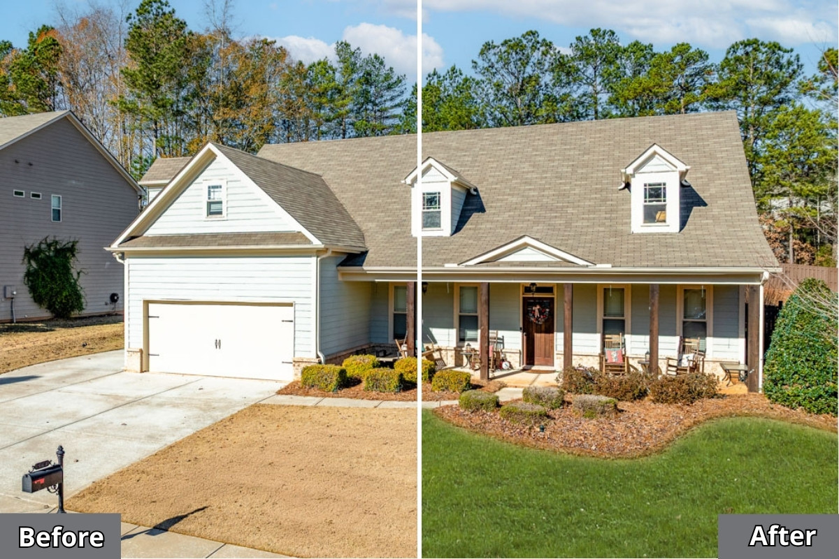 Green Up the Lawn to Symbolize Freshness