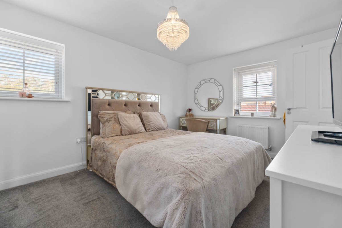 How Picpee Addresses These Industry Needs