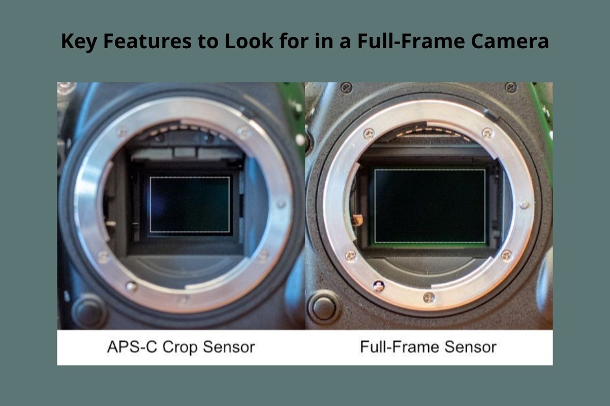 Key Features to Look for in a Full-Frame Camera