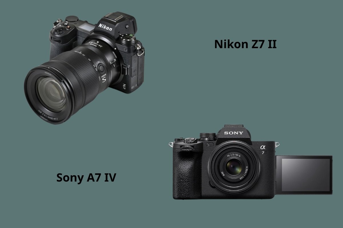 Nikon Z7 II- Sony A7 IV