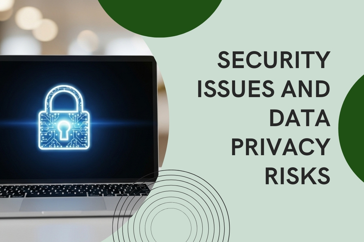 Security Issues and Data Privacy Risks