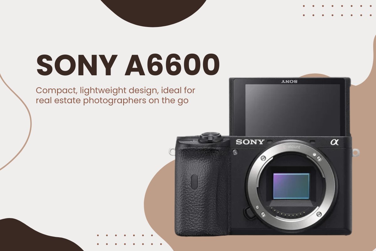 Sony A6600