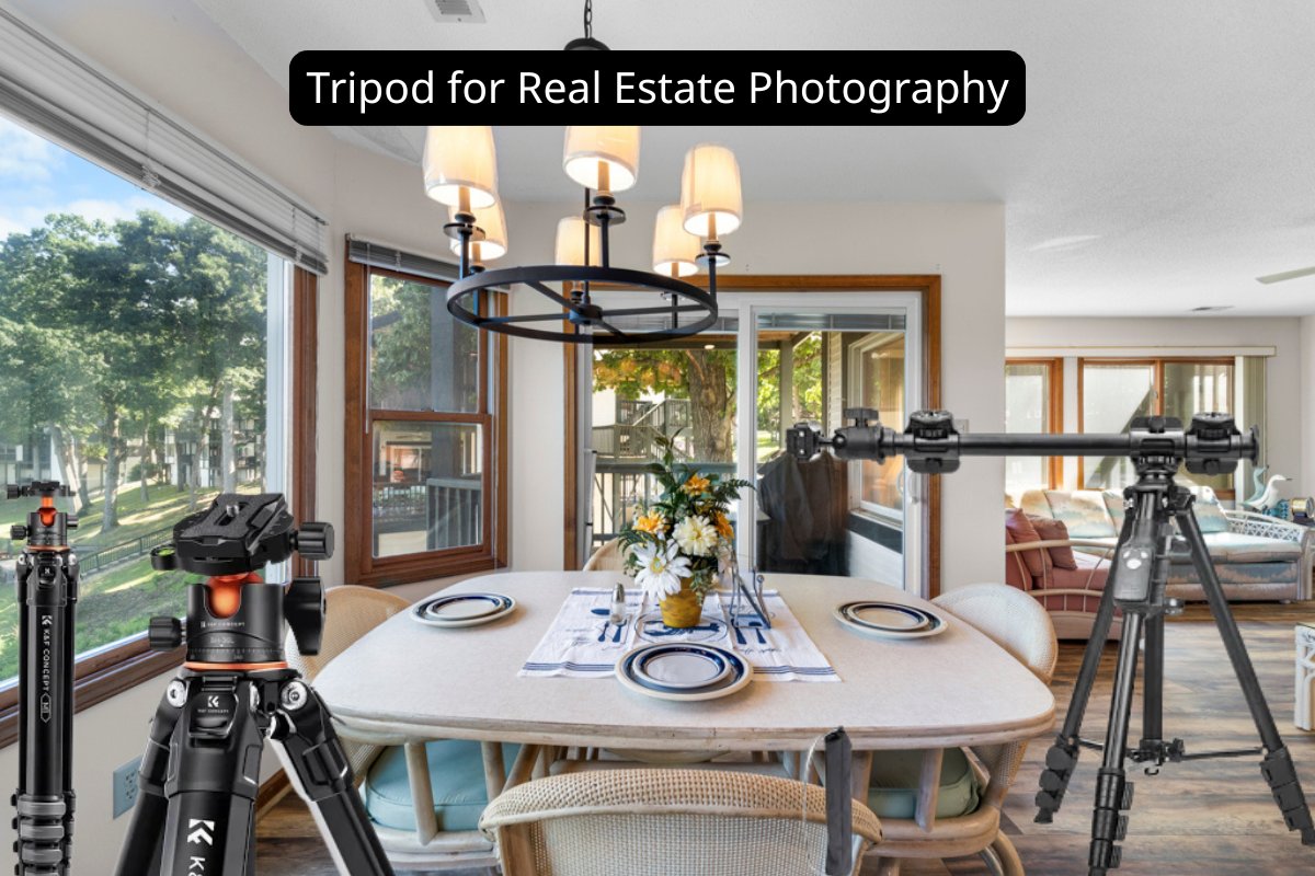 Post-Processing: Perfecting Tripod Shots