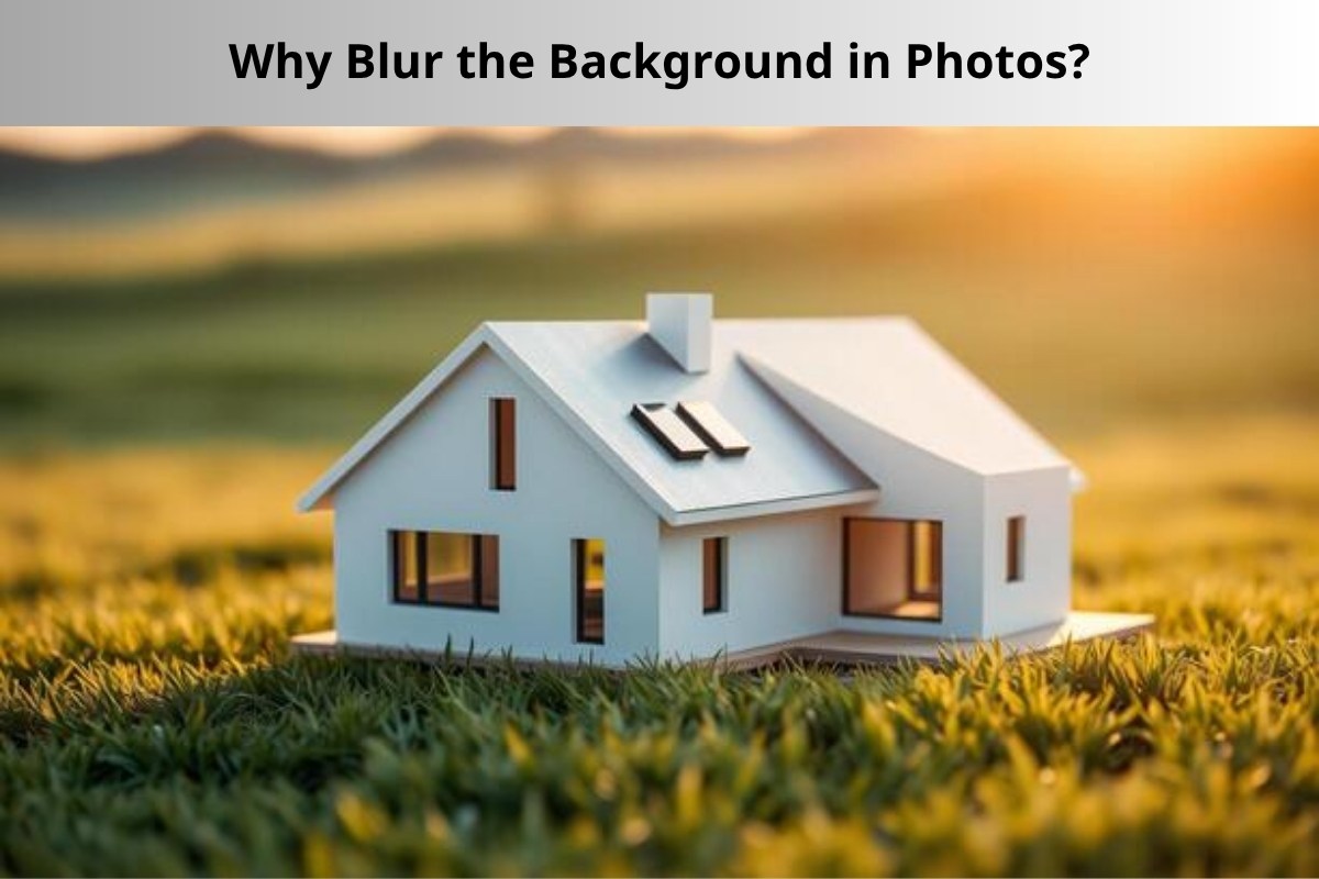 Why Blur the Background in Photos